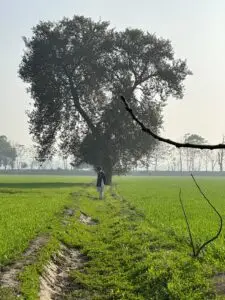 ORGGAVA Zero-Waste Farming Fields in Punjab